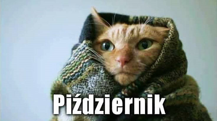 Kot okryty kocem wita październik